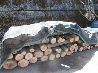 椎茸原木